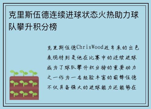 克里斯伍德连续进球状态火热助力球队攀升积分榜